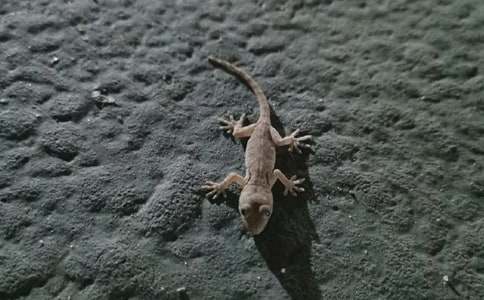 ��С�ڻ���β�͡���ѧ��ƾ�1