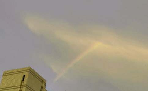 ���ʺ硷�̰�