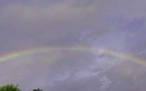 《彩虹》教案集锦(15篇)