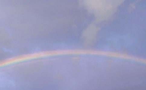 �������Ĳʺ硷��ѧ���10ƪ