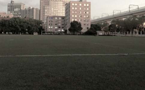 操场上教案15篇