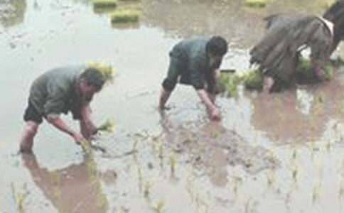 ���������̰�