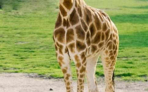 ����¹��С���ѧ��˼7ƪ