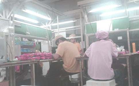 �����ֳ����������ܽ�5ƪ