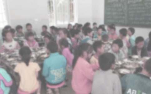 ����Է������뺯