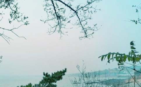 �����ж������ܽ�ϼ�15ƪ