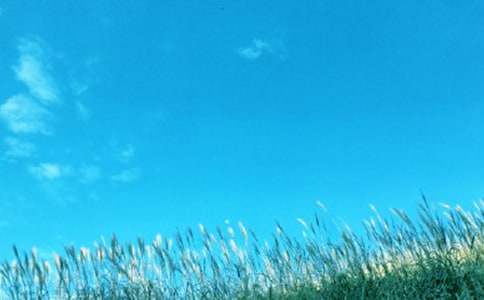 �����ж�������ܽ�