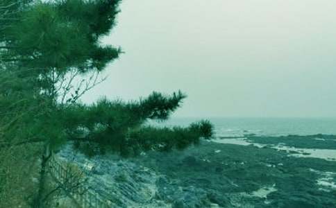 ������Խ̰������硷