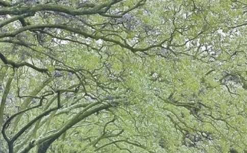 ������Խ̰�����ѧ��˼�����硷