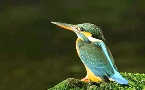 �йش���̰��ϼ�10ƪ