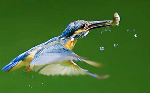 ������������̰���ƪ