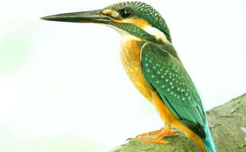 ���꼶�����񡷽�ѧ���