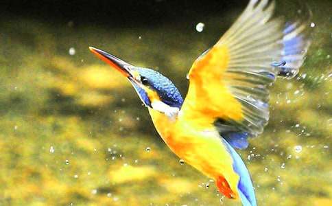 �йش���̰����Ļ���6ƪ