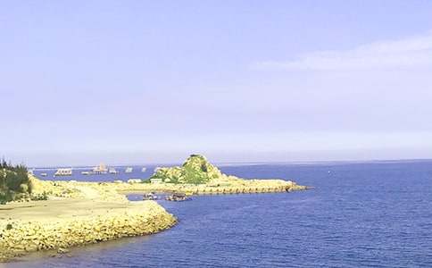 ���󺣵ĸ衷��ѧ���5ƪ