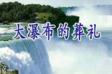 �����ٲ������񡷽�ѧ�������ر�(4ƪ)