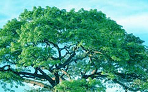 ��������а�̰�