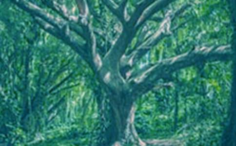 �а�˵�θ壺�Ұ�������С��