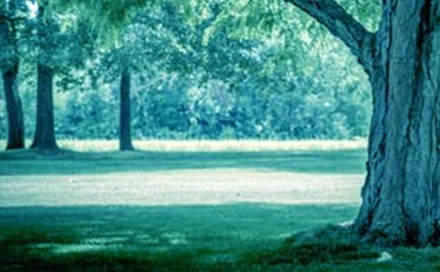 �����Ĺ��½�ѧ��˼����