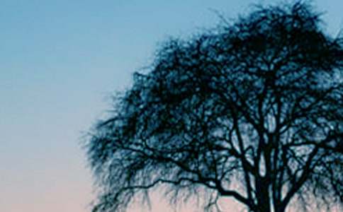 ��С�ݺʹ�������ѧ��˼10ƪ