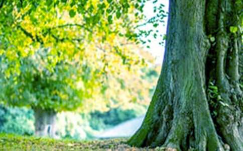 ��С�ݺʹ�������ѧ��˼3ƪ