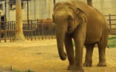 ���꼶������ѧ�ϲ��ѧ�����ܽ�