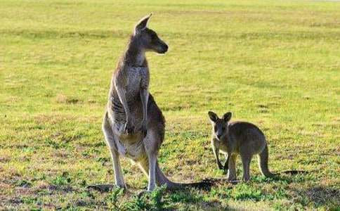 С�����������Ϸ�̰�