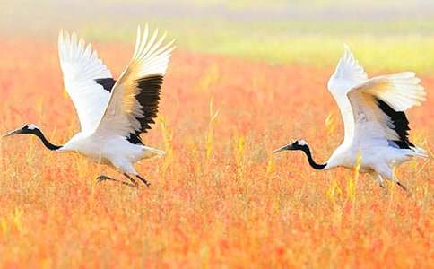 �������ĵ����ס���ѧ��˼