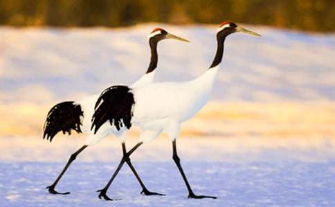 �������ĵ����ס��ĵ�����ʱ�̰�