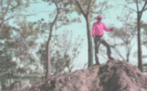 部门登山聚餐的策划书【经典】