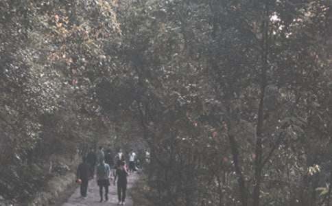 ��ɽ��߻�����(15ƪ)