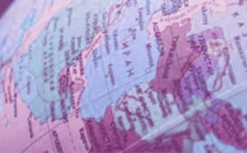 ���꼶�ϲ������ѧ��˼15ƪ