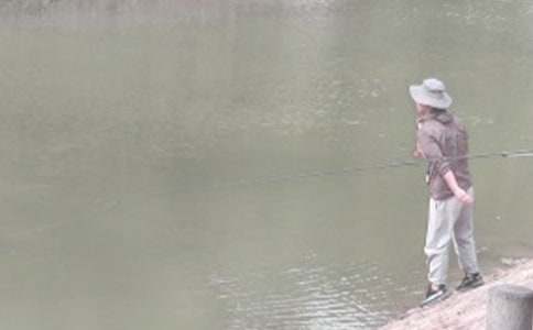 ���������ʾ����ѧ�������