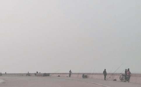 小猫钓鱼教案(合集15篇)