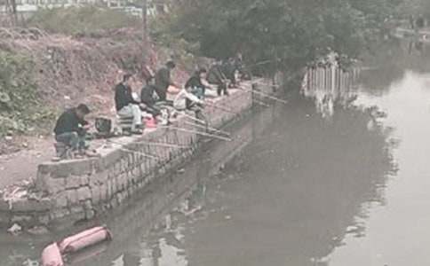 钓鱼的启示教学设计15篇