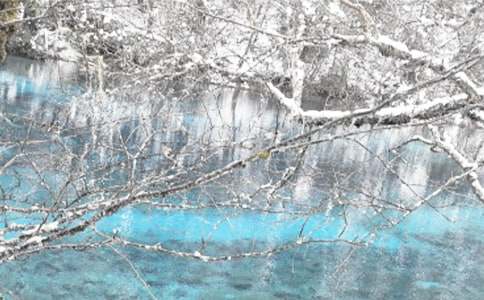 ���������Լ���Ԥ���̰�����ѡ6ƪ��