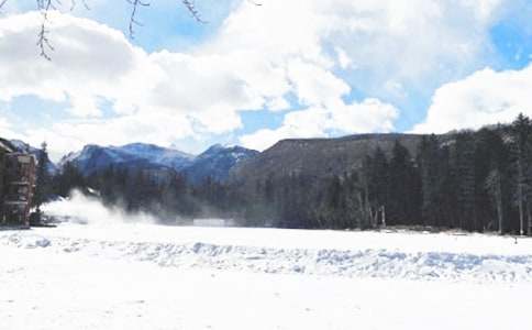 �������в�Ԥ���̰���ͨ��6ƪ��