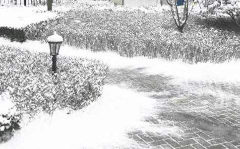 С�ඬ������Ⱦ���̰�ģ�壨ͨ��7ƪ��