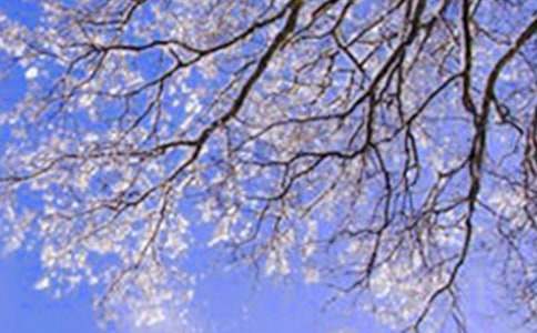 初一上册济南的冬天教案范文(精选5篇)