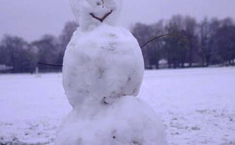 ������ѧ���6ƪ