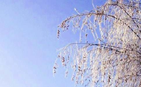 �����ϵĶ��졷����̰�15ƪ