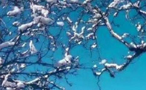 [����]���ϵĶ����ѧ��˼