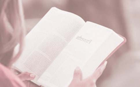 世界读书日活动策划方案15篇