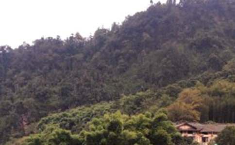 ��üɽ�¸�̰�7ƪ