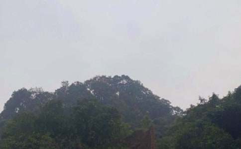 ��üɽ�¸�̰�11ƪ