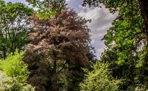 �����һ���羰 ���Լ��ı���˵�θ�