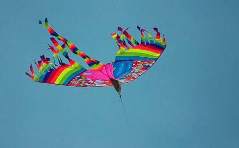 ������������ݡ���ѧ��˼���ģ�ͨ��6ƪ��