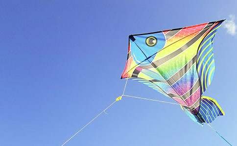 ���ŷ��ݡ���ѧ��˼����ѡ5ƪ��