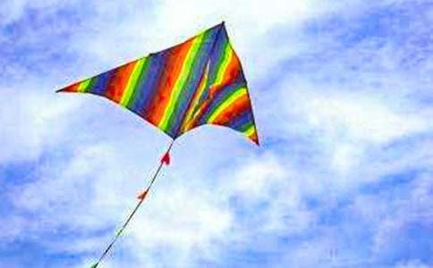 ��������ݡ�˵�θ�