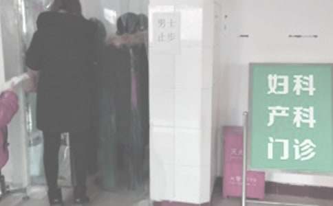 �����ƹ����ܽἯ��15ƪ