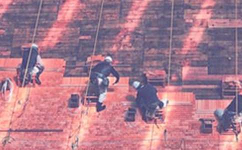 �������������չ����ܽ�(��ѡ9ƪ)